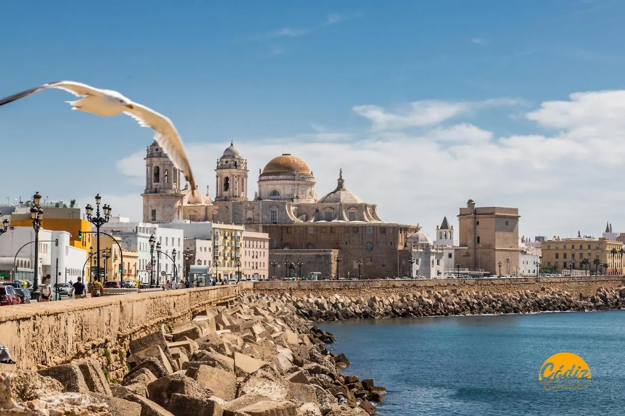 Apartamento Océano - WIFI - PETFRIENDLY - ECOFRIENDLY Cádiz